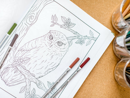 Whimsical Woodland Coloring Book