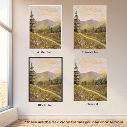 Where Light Wanders Fine Art Print