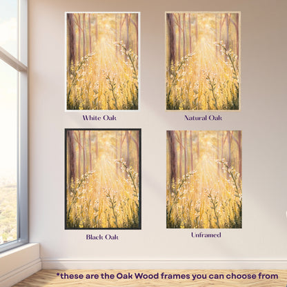 The Meadow Fine Art Print
