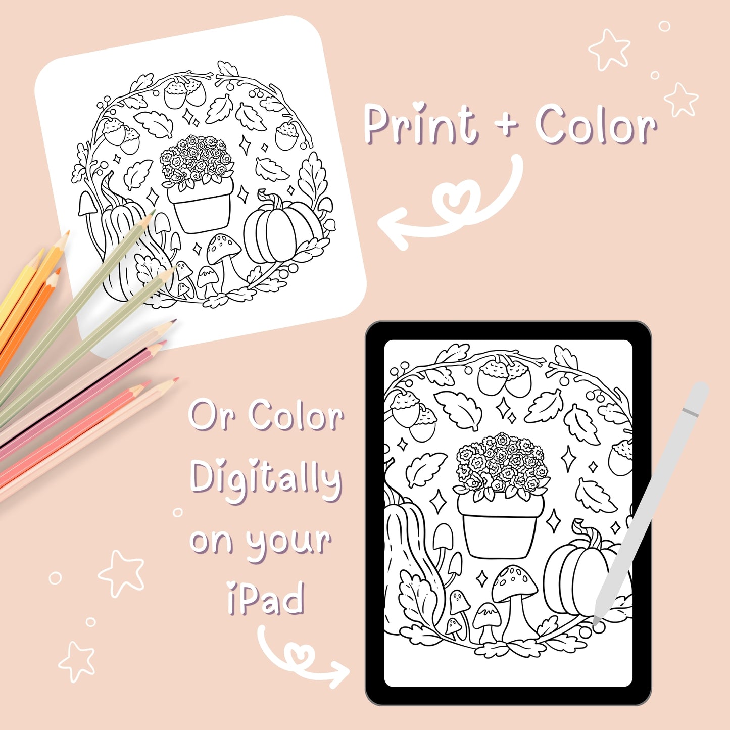 Seasons of Whimsy Coloring Book DOWNLOAD