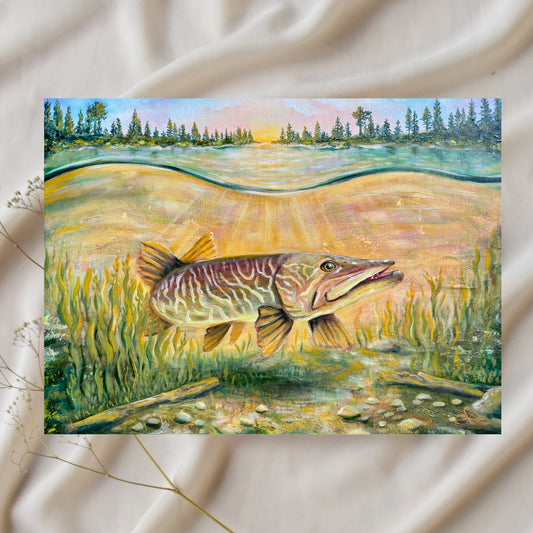First Light Hunter - Tiger Musky Fine Art Print