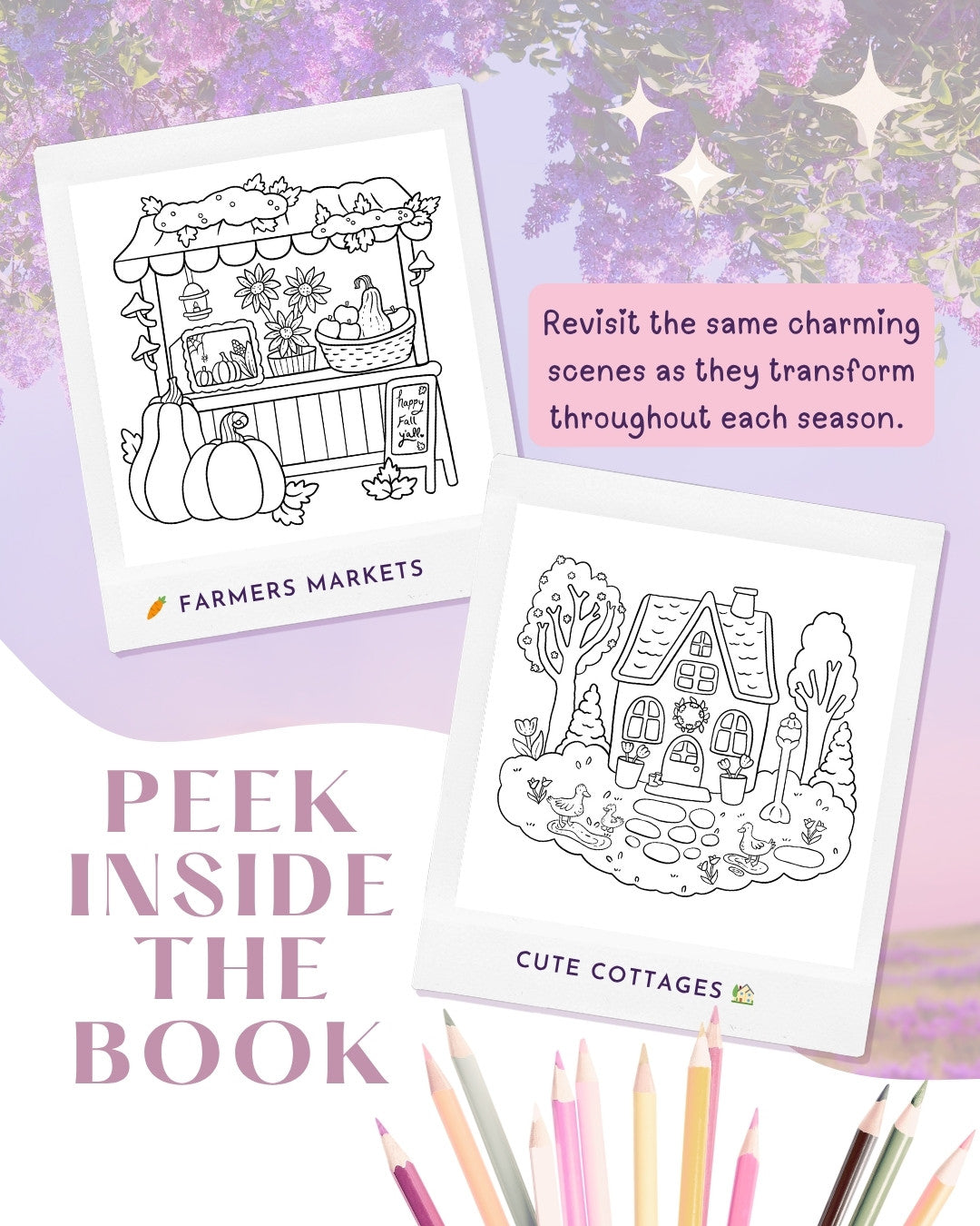 Seasons Of Whimsy Coloring Book